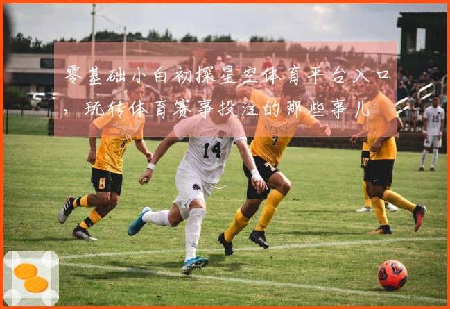 零基础小白初探星空体育平台入口，玩转体育赛事投注的那些事儿